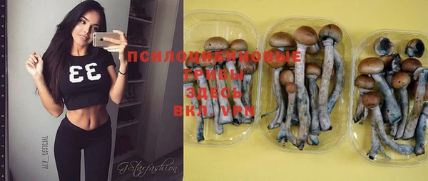 шишки Костерёво