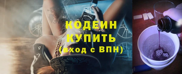 шишки Костерёво