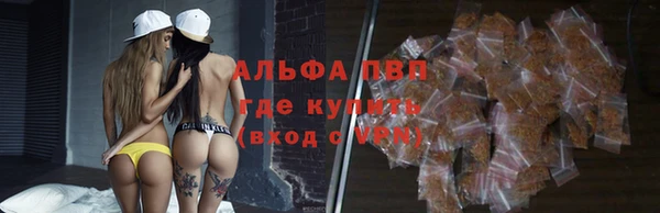 шишки Костерёво