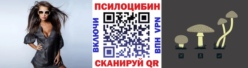 Купить Бирск Псилоцибиновые грибы мицелий